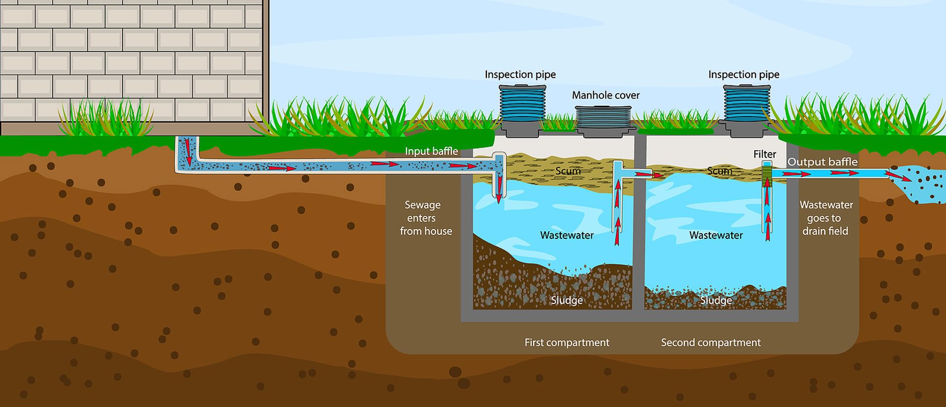 The Role of Microbes in Your Septic System